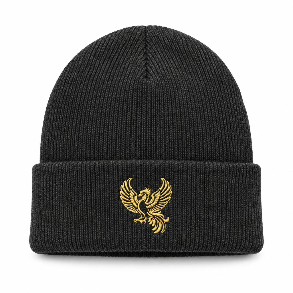 Dark grey beanie using the new phoenix reference