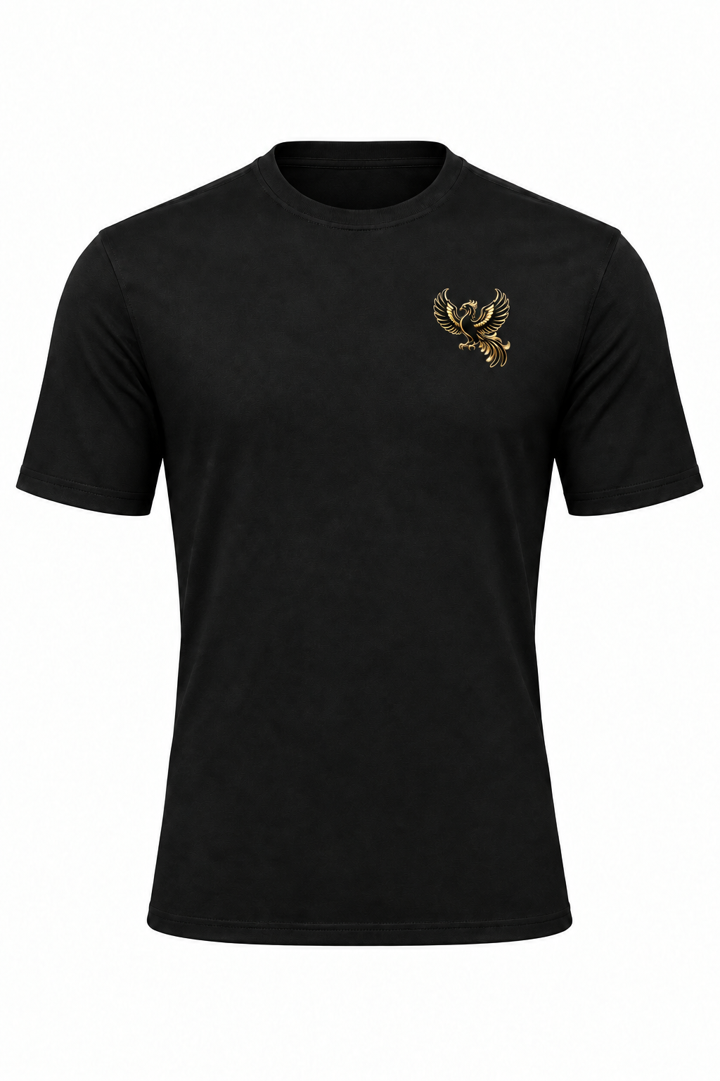 Phoenix gym T-shirt with smaller logo