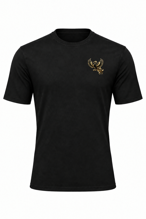 Phoenix gym T-shirt with smaller logo